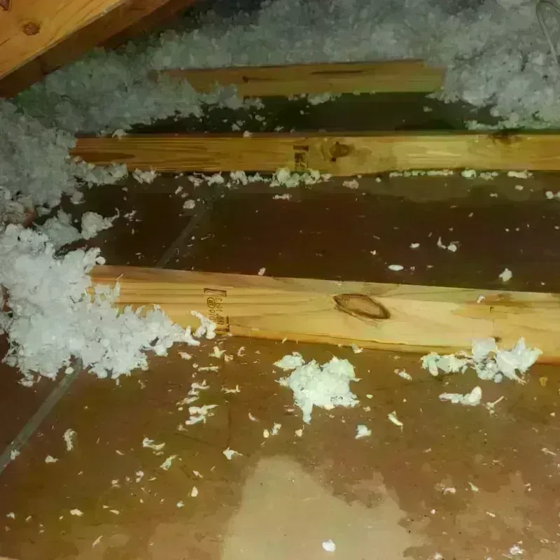 Attic Water Damage in Nicholls, GA