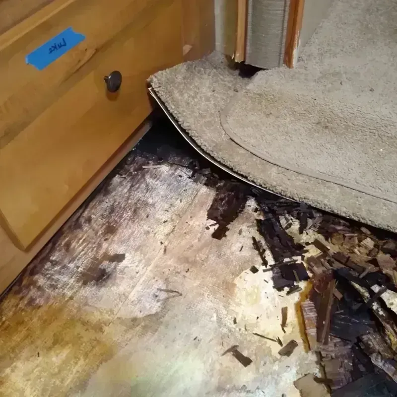 Best Wood Floor Water Damage Service in Nicholls, GA